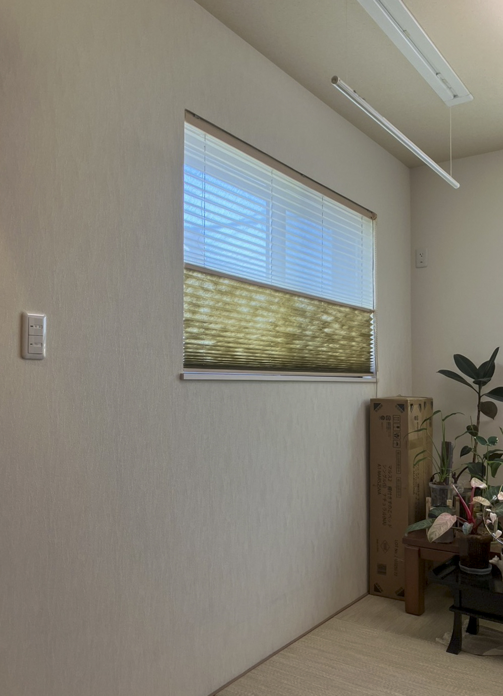Before画像