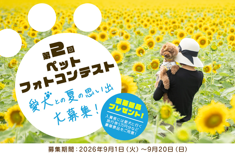 注文住宅で叶える、ペットとの幸せな暮らし<br>第2回みんなの家 ドッグフォトコンテスト開催＆豪華景品プレゼント♪ 🐾 写真