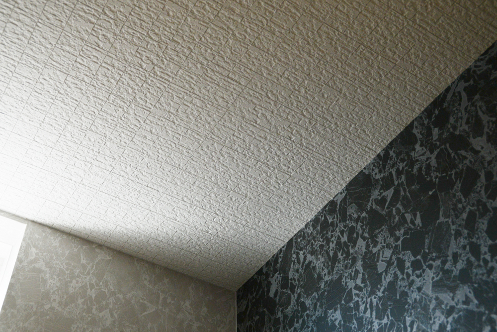 洗面の天井（DAIKEN クリアトーン12SⅡ ラインアート401）
